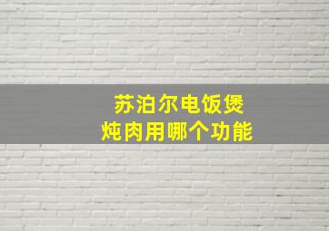 苏泊尔电饭煲炖肉用哪个功能