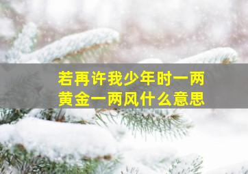 若再许我少年时一两黄金一两风什么意思