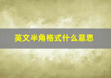 英文半角格式什么意思