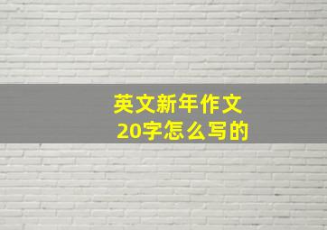 英文新年作文20字怎么写的