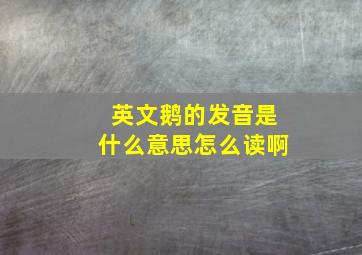 英文鹅的发音是什么意思怎么读啊