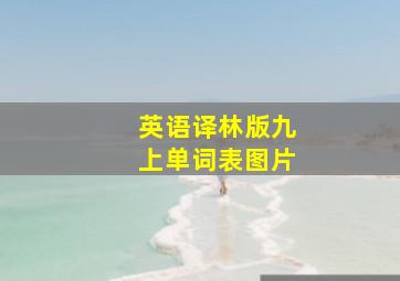 英语译林版九上单词表图片