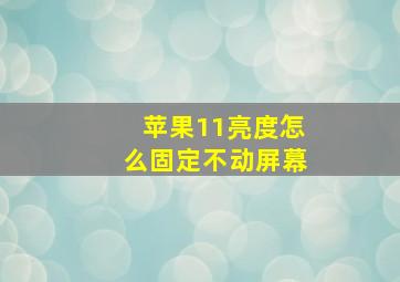 苹果11亮度怎么固定不动屏幕