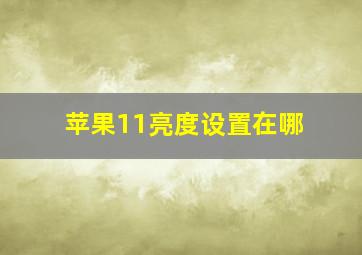 苹果11亮度设置在哪