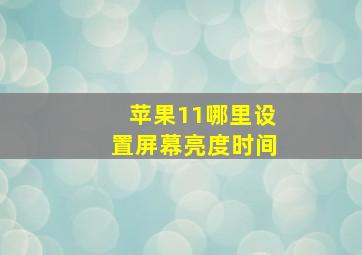 苹果11哪里设置屏幕亮度时间