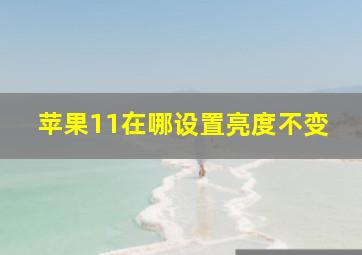 苹果11在哪设置亮度不变