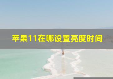 苹果11在哪设置亮度时间