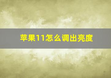 苹果11怎么调出亮度