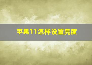 苹果11怎样设置亮度