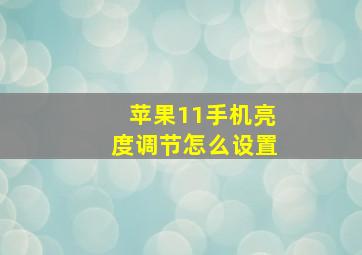 苹果11手机亮度调节怎么设置