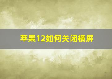 苹果12如何关闭横屏