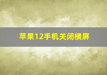 苹果12手机关闭横屏