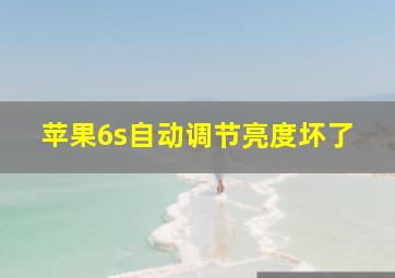 苹果6s自动调节亮度坏了