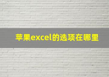 苹果excel的选项在哪里