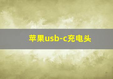 苹果usb-c充电头