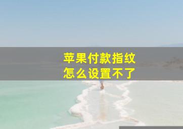 苹果付款指纹怎么设置不了