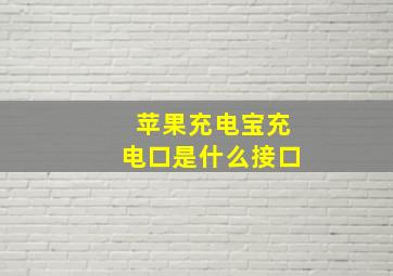 苹果充电宝充电口是什么接口