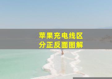 苹果充电线区分正反面图解