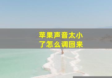 苹果声音太小了怎么调回来