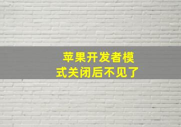 苹果开发者模式关闭后不见了