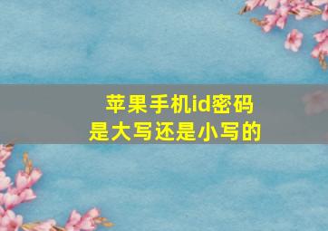 苹果手机id密码是大写还是小写的