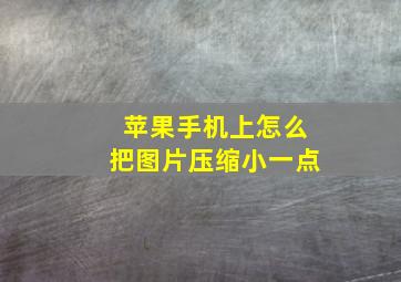 苹果手机上怎么把图片压缩小一点