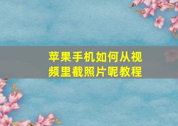 苹果手机如何从视频里截照片呢教程