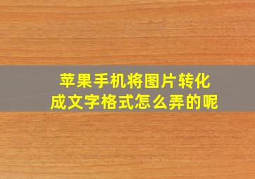 苹果手机将图片转化成文字格式怎么弄的呢