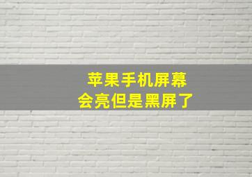 苹果手机屏幕会亮但是黑屏了