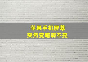 苹果手机屏幕突然变暗调不亮