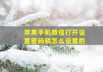 苹果手机微信打开设置密码锁怎么设置的