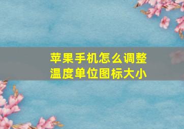 苹果手机怎么调整温度单位图标大小