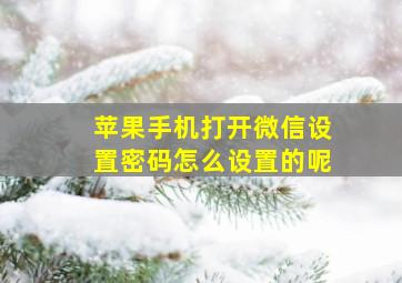 苹果手机打开微信设置密码怎么设置的呢