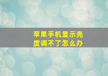 苹果手机显示亮度调不了怎么办