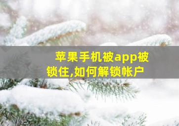 苹果手机被app被锁住,如何解锁帐户