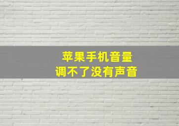 苹果手机音量调不了没有声音