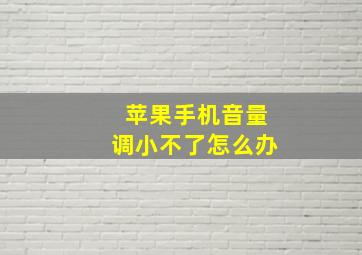 苹果手机音量调小不了怎么办