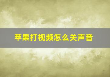 苹果打视频怎么关声音