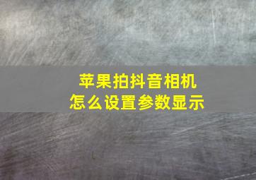 苹果拍抖音相机怎么设置参数显示