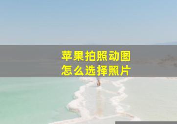 苹果拍照动图怎么选择照片