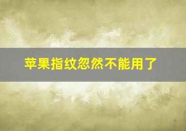 苹果指纹忽然不能用了