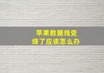 苹果数据线变绿了应该怎么办