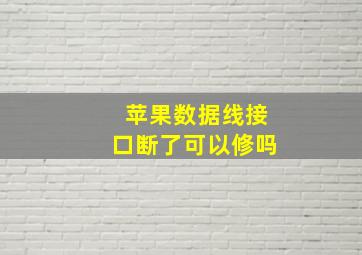 苹果数据线接口断了可以修吗