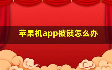 苹果机app被锁怎么办