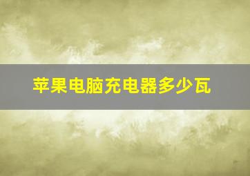 苹果电脑充电器多少瓦