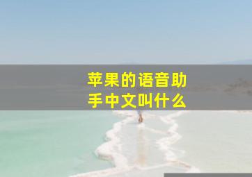 苹果的语音助手中文叫什么