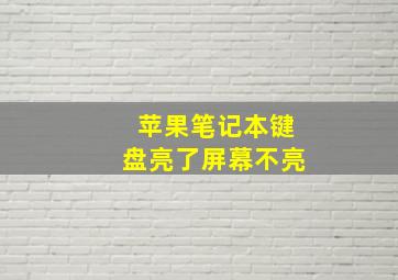 苹果笔记本键盘亮了屏幕不亮