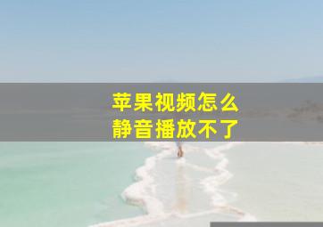 苹果视频怎么静音播放不了