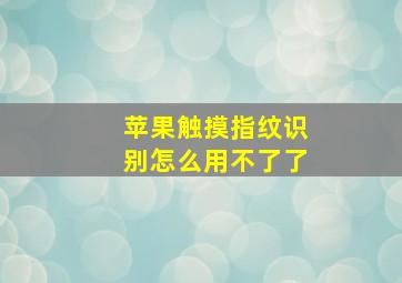 苹果触摸指纹识别怎么用不了了