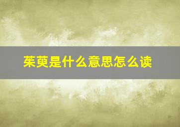 茱萸是什么意思怎么读